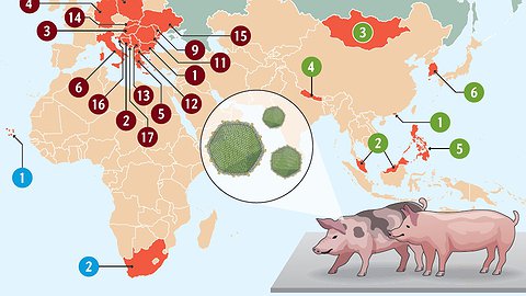 Вирусная рассылка